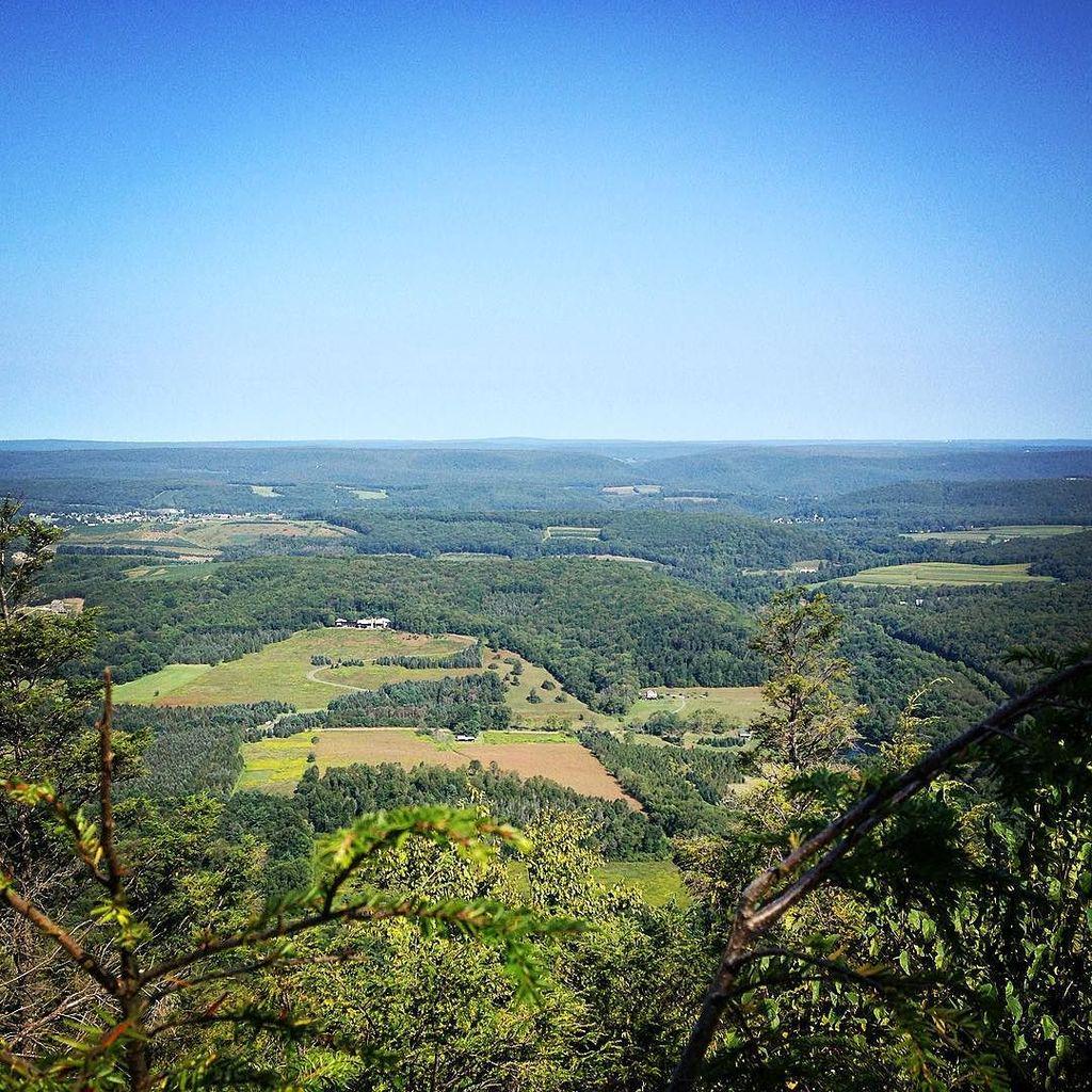TinjaNurtle's tweet photo. #wildernesswednesday #almostthrowbackthursday #hawkmountain http://t.co/SLqidmrtcI http://t.co/QN2NywWUrz