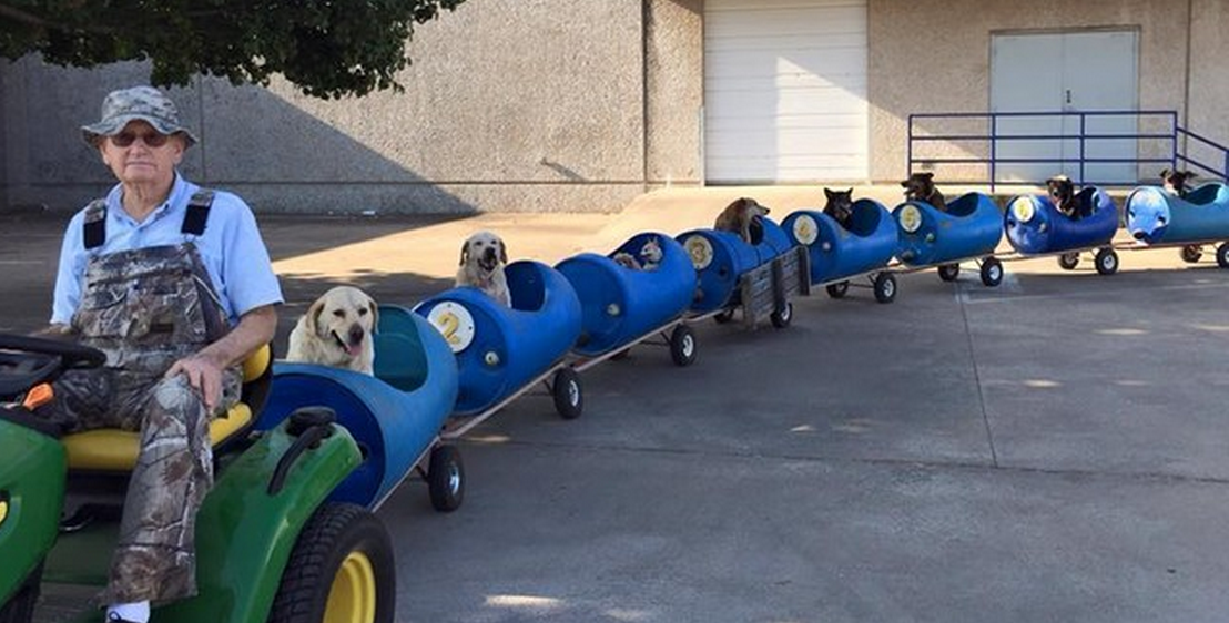 taggtracker's tweet image. Man builds a 'dog train' to take rescued pups on little adventures ow.ly/SB9Rv   #MorePeopleLikeThisPlease