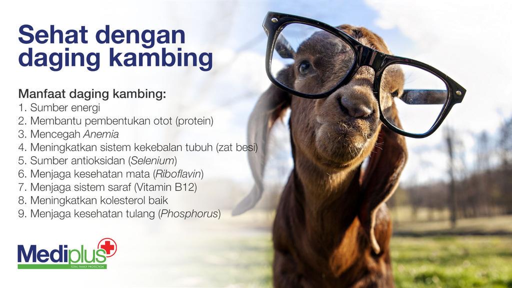 MediPlusID's tweet photo. Sehat dengan daging kambing #happyeidadha http://t.co/vUNieQoxMN