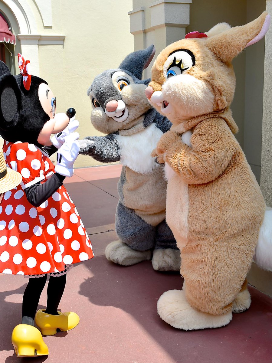 Mezzomikiのディズニーブログ A Twitter ミニーちゃんを誘う可愛いとんすけとミスバニー Http T Co Bfuupozltz Http T Co Awopnlu4j2