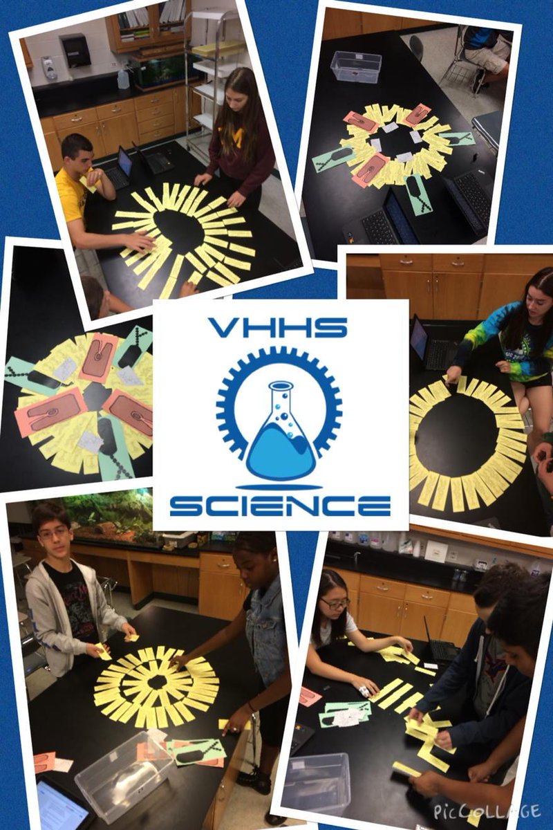 wolfsciedu's tweet photo. Discovering cell membrane structure through inquiry. #vhsci #lowtech #vhhswatchthis http://t.co/YyFfohOnuR