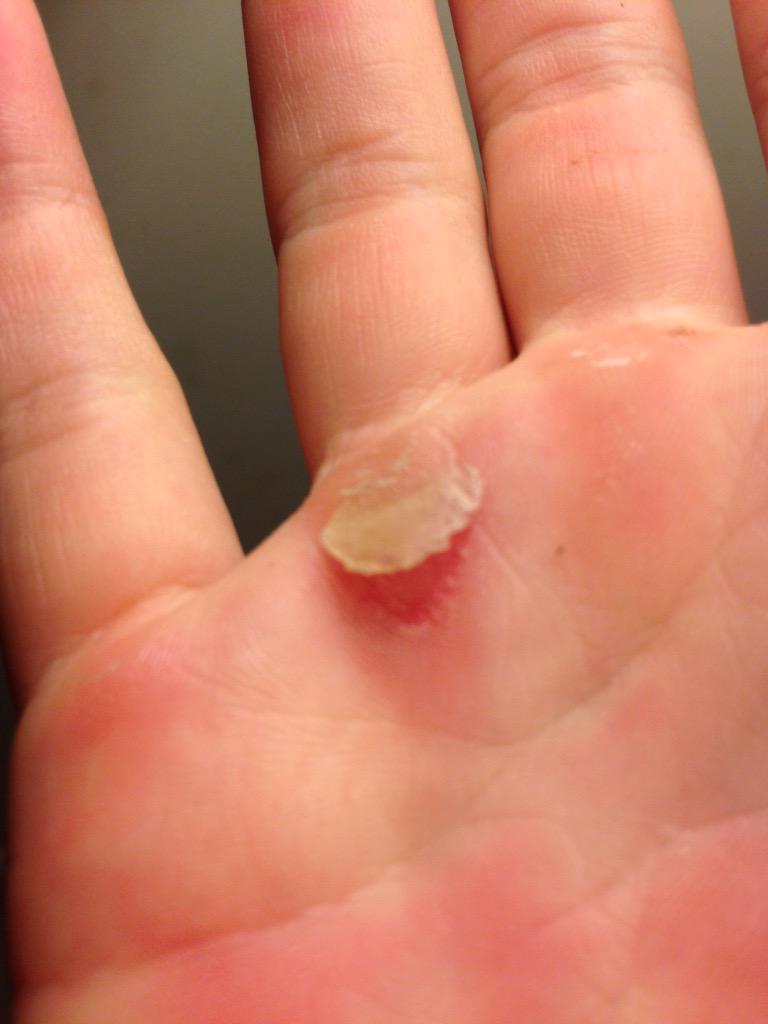 kylie_olexa's tweet image. My welcome back love #2rips #1turn