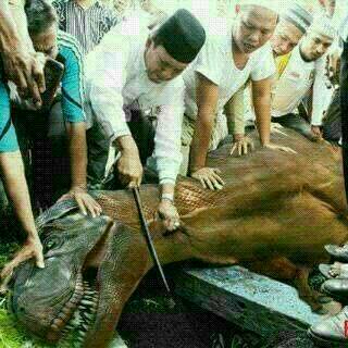 Selamat idul adha semua semoaga harimu menyenangkan \m/.