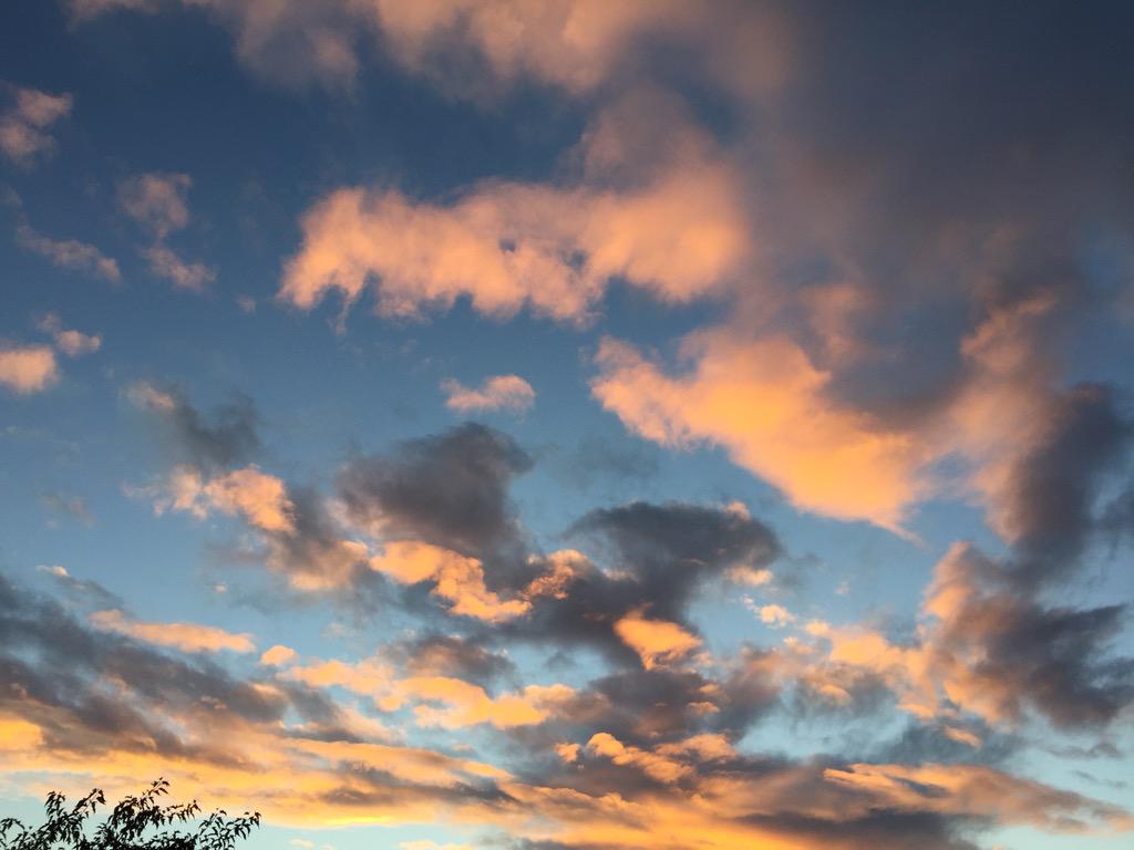 rcardone's tweet photo. #seattle fall sky. Crisp air. Glad to be #home http://t.co/dZ9gXvdJXx