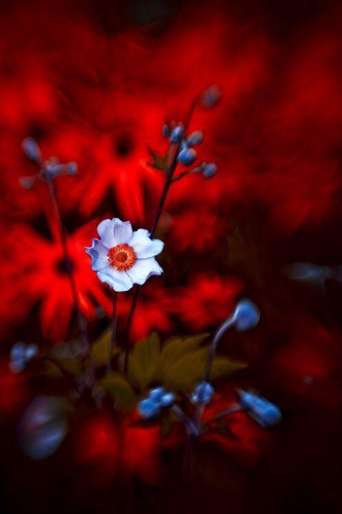 solidakis34's tweet image. 