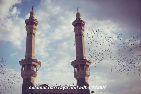 Selamat merayakan hari raya Idul Adha 1436H bagi yang menjalankan nya