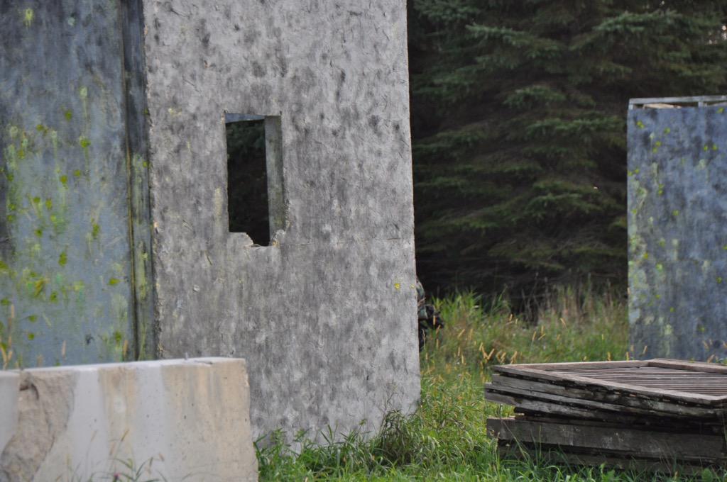PbVelocity's tweet photo. #MNProPaintball http://t.co/YSJNBnmbyX