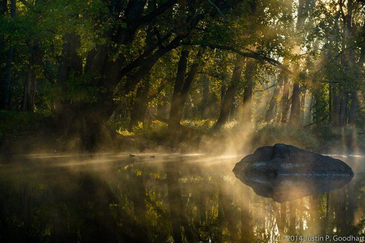 DutchessCoDU's tweet photo. #Win #justinGoodhart #morningfog #GreatSwampNY #HarlemValley #conservewetlands #DCDU 9/26 http://t.co/O3QTW3A2vi http://t.co/TfWkdYqYjg