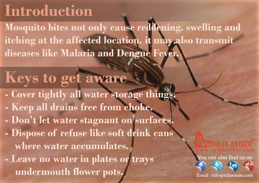 TuljaEstate's tweet photo. #BewareOfDengue #Mosquito #PreventFever http://t.co/nlbQ8pHSML