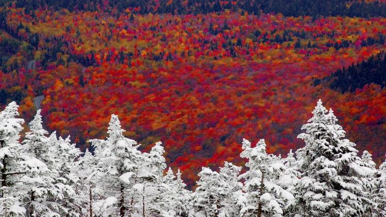 This fall foliage season is shaping up to be beauty. trib.in/1Ovysxj