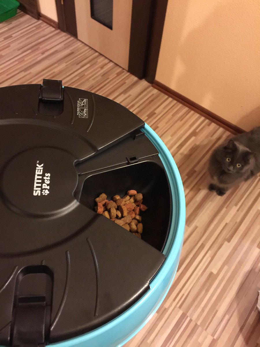 post_tech's tweet image. Автокормушки для котиков и песиков!