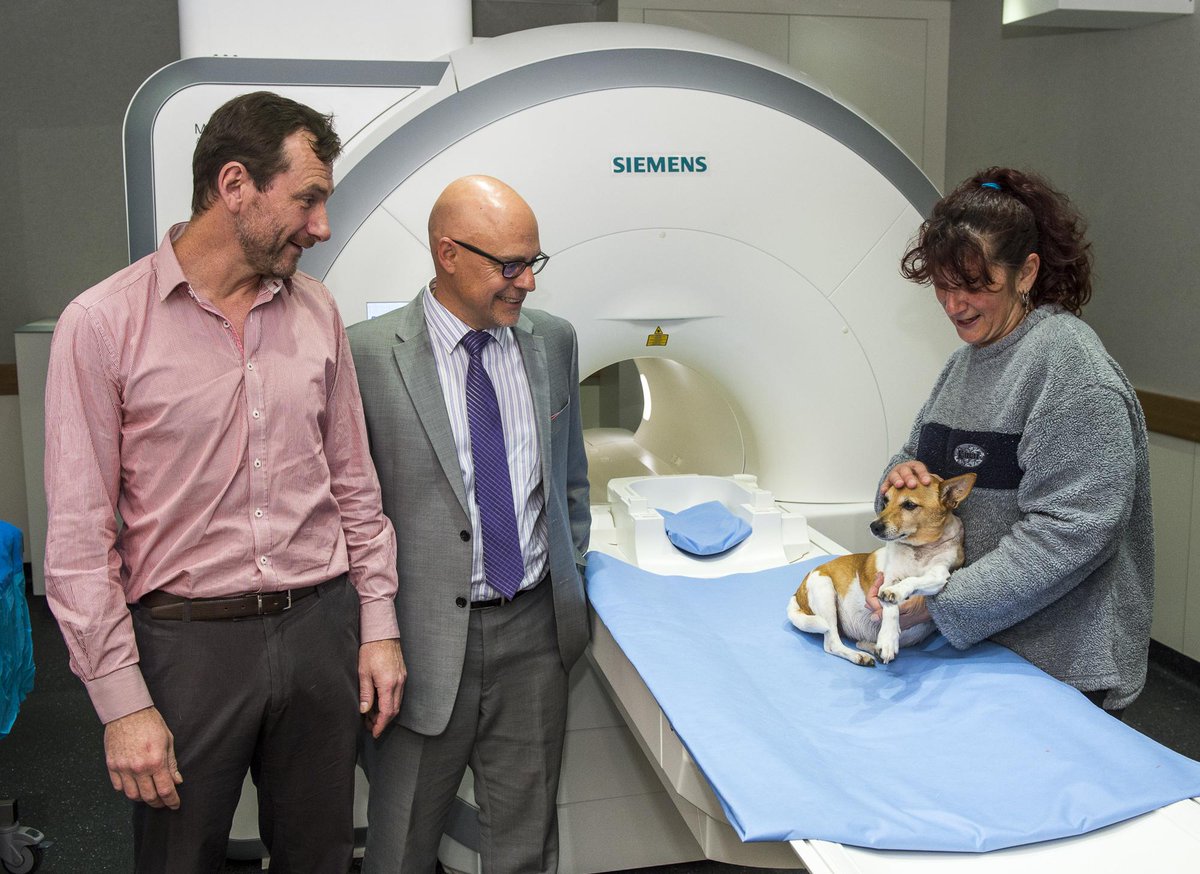 sash small animal hospital