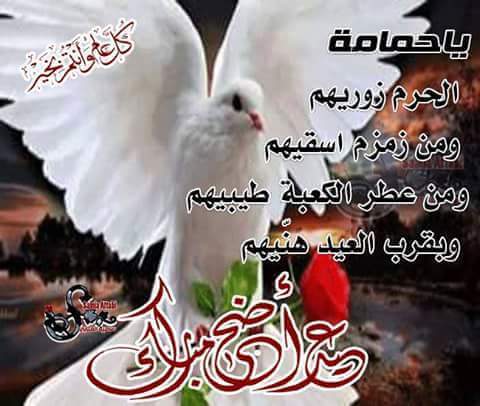 علي الأسدي (@azas1989) on Twitter photo 