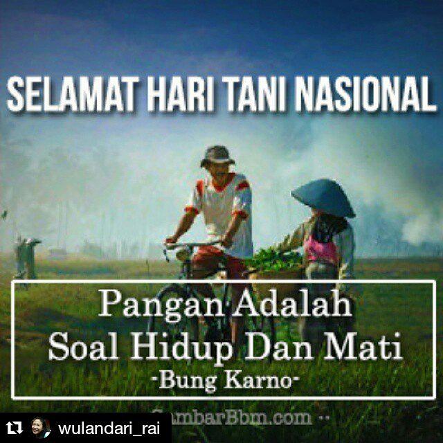 Pers_Agritech's tweet photo. Selamat Hari Tani Nasional http://t.co/6pV0kJIwUv