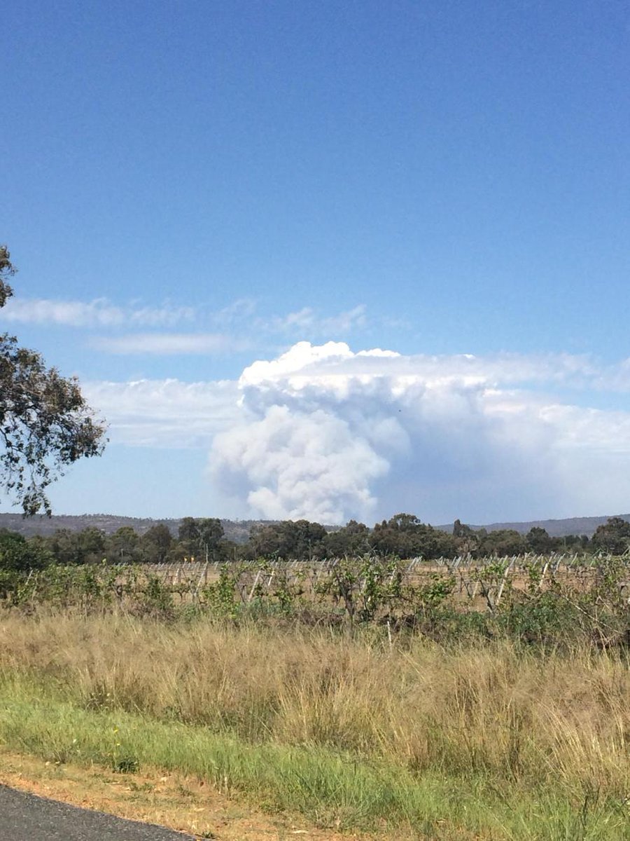 beefbeefandmore's tweet image. @BOM_WA Fire in Avon Valley #smoke #pyrocu