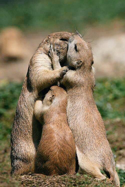 ¡Buenos días, familia! Que no se os olvide eso de "quererse".