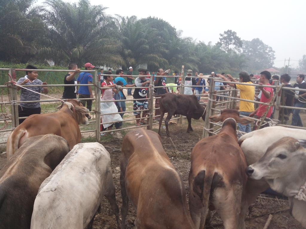 PemudaTenggara's tweet photo. Korban @PemudaTenggara di Kg Baru Sg Telor http://t.co/fM21W2vaim