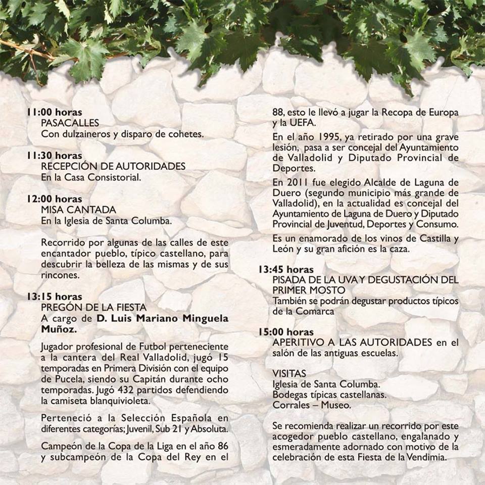 fiestarlanza's tweet photo. @davalderrama @DOArlanza1 @DOArlanza Aquí tenéis el programa de la Fiesta de la Vendimia Arlanza http://t.co/2e7cCRT4ot