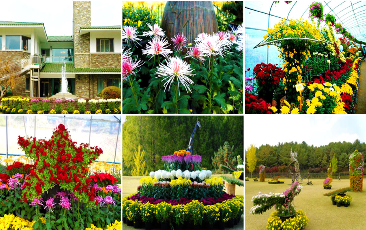 tour1144.com/goods_view.php…
청남대[국화향에  빠지다,,대통령별장&amp;제빵왕김탁구촬영지]/단풍의 백미! 속리산으로 떠나자!