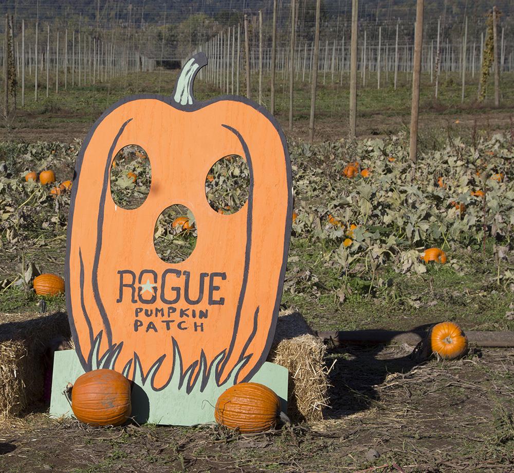 RogueAles's tweet photo. Looking forward to the #PumpkinPatchParty Oct. 17 @RogueFarms. Are you coming? http://t.co/1KKJG4asXh http://t.co/mikGu1BBpu