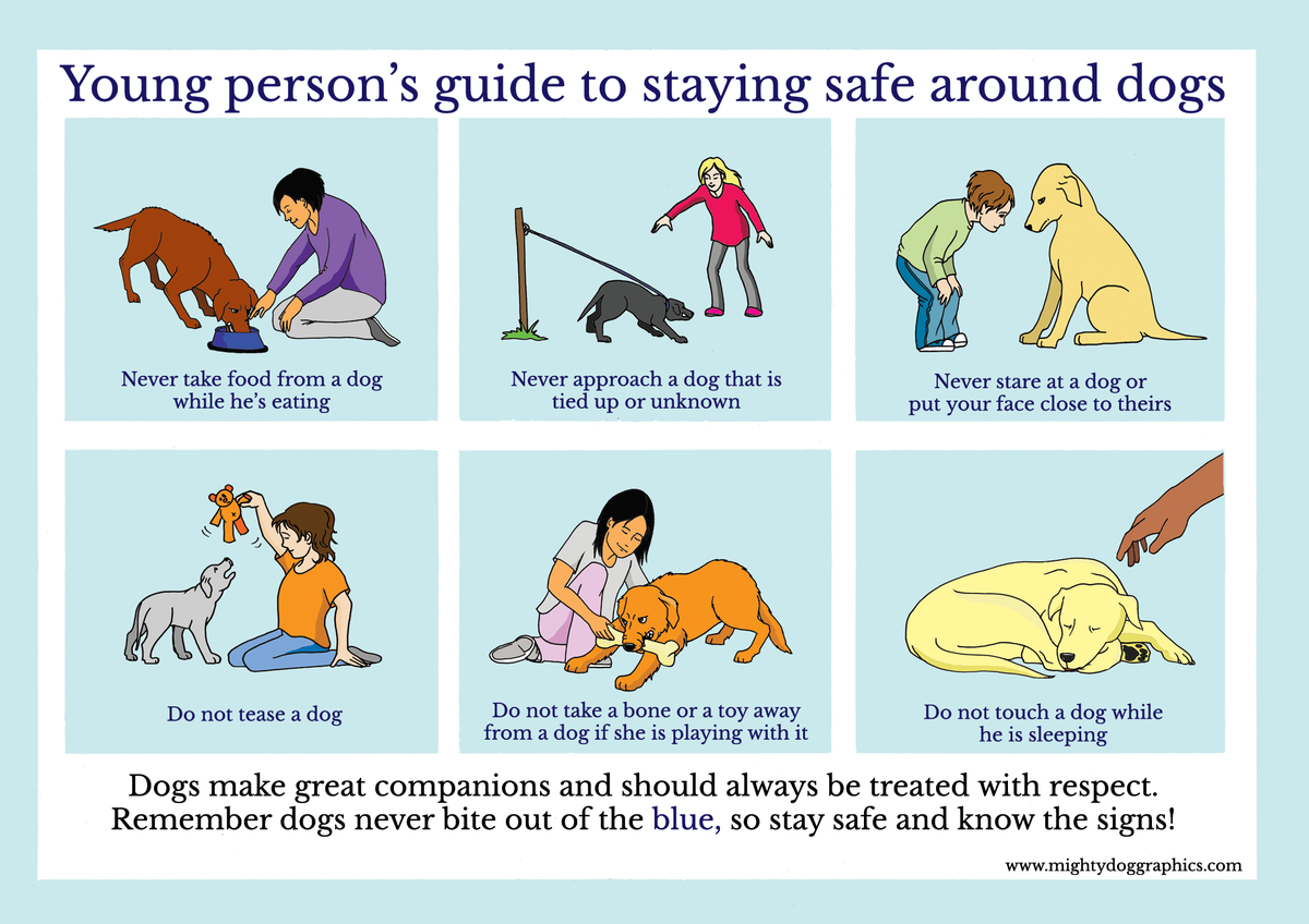 DogSafetyExec's tweet photo. Applying a bit of common sense around dogs doesn't just make sense - it's absolutely essential http://t.co/Xbp1dZyHPA