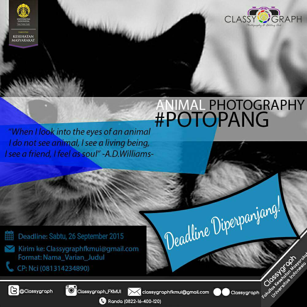 Classygraph's tweet image. #potopang di Perpanjang! Yuk buruan submit foto hewan apapun juga. Deadline pengumpulan Sabtu, 26 September 2015