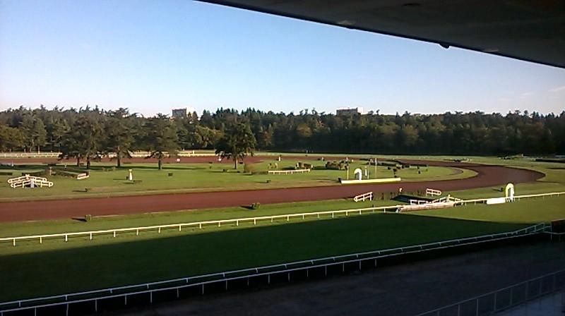 frederic_gili's tweet photo. JPO SRA dédiée Sage FRP 1000 à hippodrome de Bron sous un magnifique soleil http://t.co/gF48A59ADt
