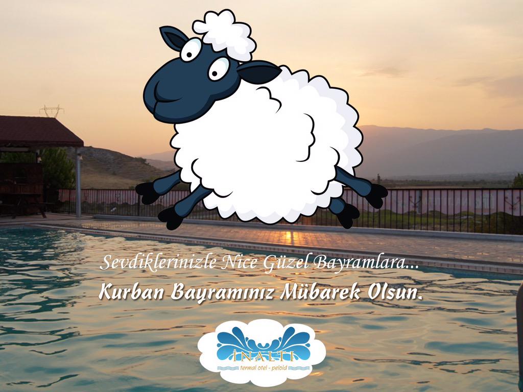 Tüm İslam Aleminin Kurban Bayramını Kutlar Sevgi Saygı Kardeşlik ve Barış Dolu Nice Bayramlar Dileriz #KurbanBayramı