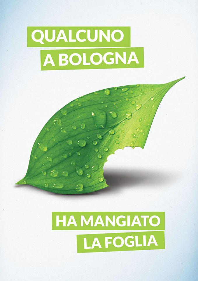 Bio4uit's tweet image. A #Bologna il #Biologico è di casa! Scopri dove trovare le nostre BioMachine: bioforyou.it #Bio4U #healty