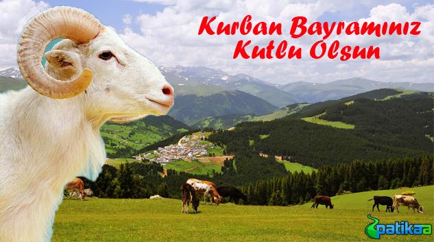 PatikaMedya's tweet photo. KURBAN BAYRAMINIZ KUTLU OLSUN
http://t.co/5lWS2eZ785
#kurbanbayramı #Kurban #bayram #karadeniz #patikaa http://t.co/kjFth6m8hg