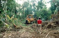 brentwallston's tweet image. Will Big Business Solve the Climate Crisis? @ roadtoparis2015.blogspot.com #cliimatechange #COP21 #keepitintheground