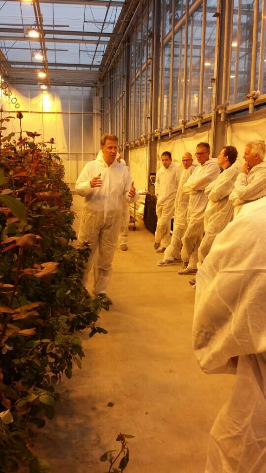 DelphyChrysant's tweet photo. Kenniscafe chrysant: uitleg perfecte roos door Edwin vd Knaap @dlvplant (@ GreenQ) https://t.co/vwT63EiELW http://t.co/HAx7bvqqYm