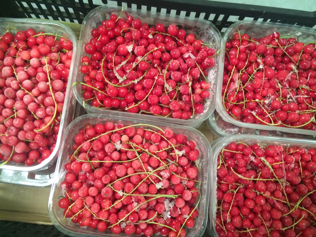 fruitykitchen's tweet photo. New delivery of #spilmans #redcurrants for our award winning jelly and to add to our #Yorkshire #marmalade MMMMM! http://t.co/xWwz1rfMI4
