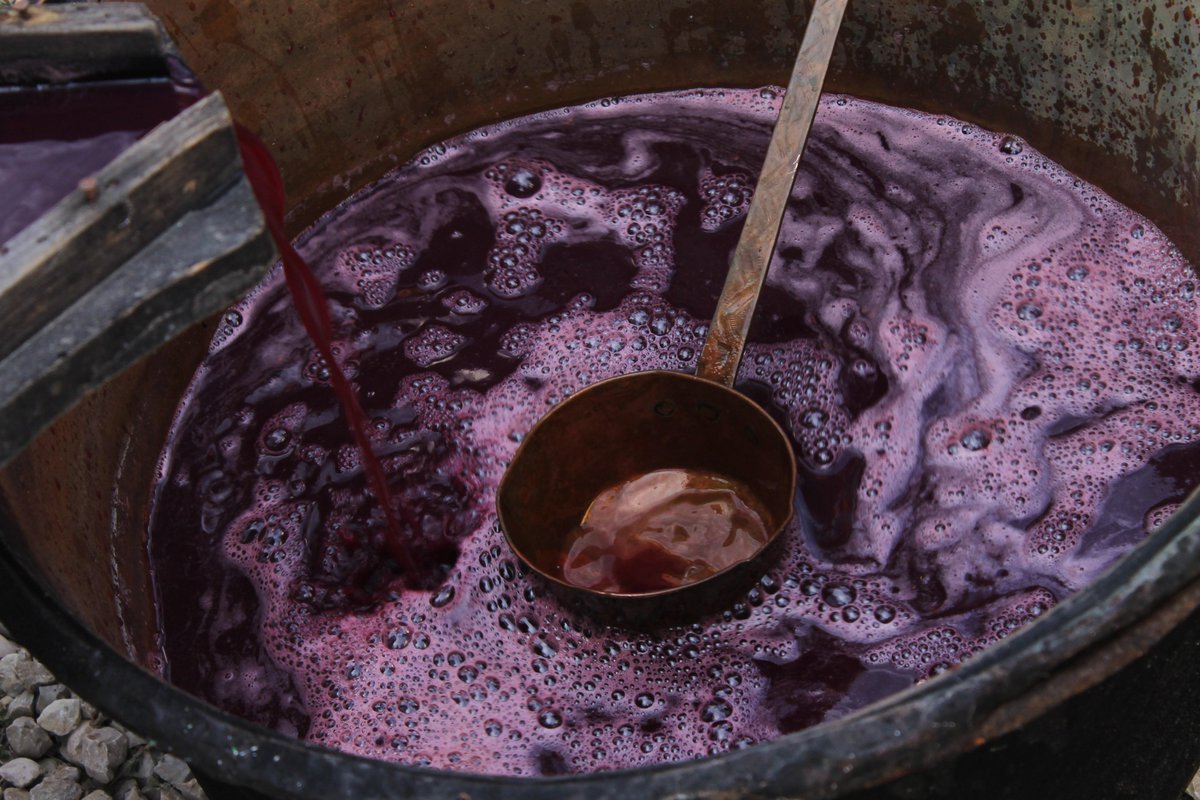 GiuliaGretaGri's tweet photo. grape harvest #vendemmia #abruzzo #sciarr #wine #italy http://t.co/DMtNz6ZGFc
