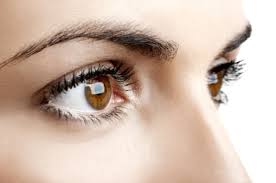 Dark Circles &amp; Wrinkles around your eyes?

amazon.co.uk/Sentia-Puffine…

#doncasterisgreat #Tweeturbiz #tweetessex #snrtg