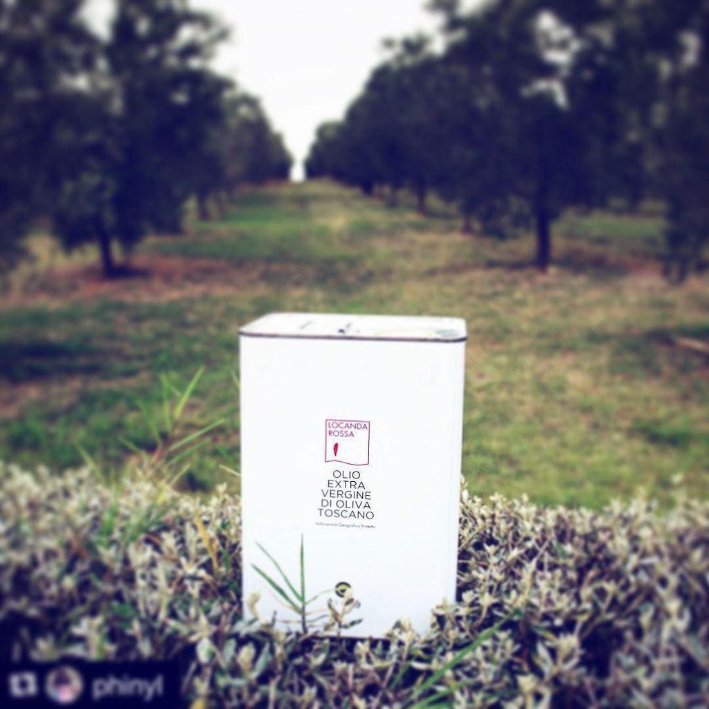 Locanda_Rossa's tweet photo. #Repost @phinyl with @repostapp.
・・・
thankful we've brought one of these home #olio #best #oliveoil #ever #locandar… http://t.co/CH5VJ8PnOV