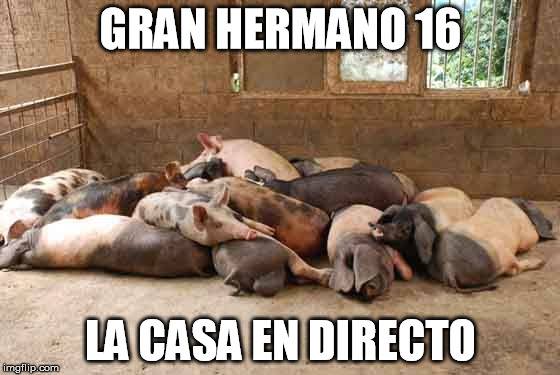 MejoresTwits's tweet photo. #FelizJueves , la casa de GH16 en directo. http://t.co/kGE2uR2p4T