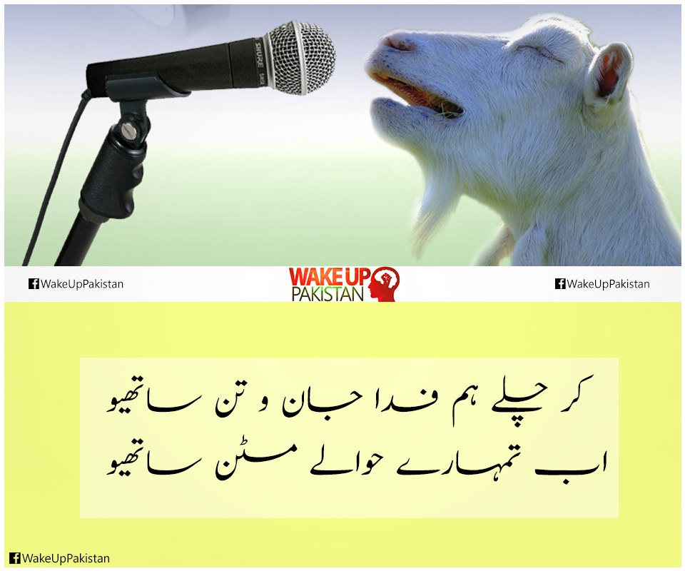 Wake Up Pakistan tweet media