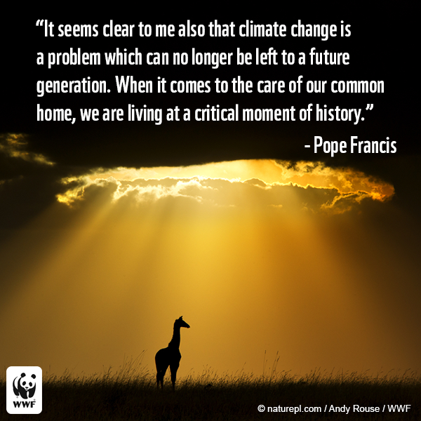SolarRaina's tweet photo. RT @World_Wildlife: RT if you agree: It's time to #ActOnClimate! #FollowFrancis #PopeInDC http://t.co/tzb7Etmx9V #SolarChat