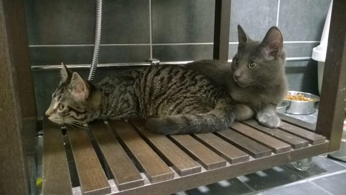 Watch Lasse Urpalainen's leaked NSFW photo on TwXstars