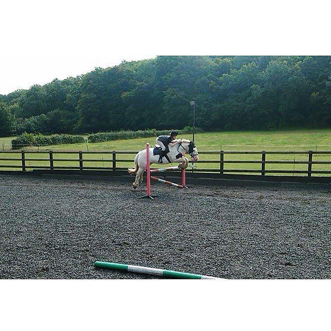 EQPpics's tweet image. Post by bay_grey_equestrian: Jacob flying💫💕 #cob #jumping #piebald #horse #horsesofinstagram #riding #horseandrider…