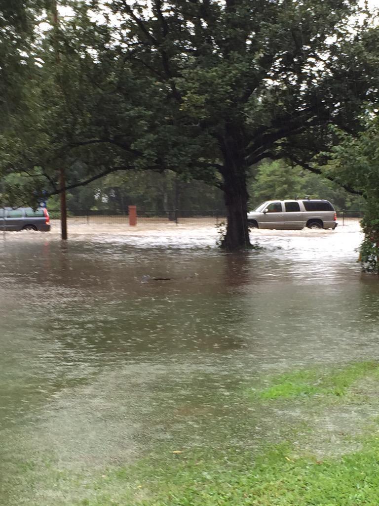 DrinkingTicket's tweet photo. Intersection of Blossom st and Henderson st current view http://t.co/czjDMW9PbQ