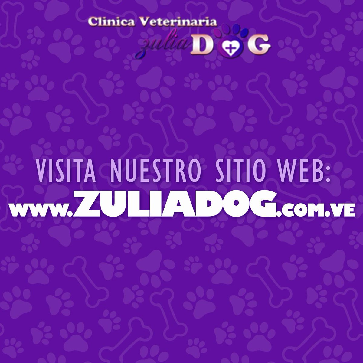 ZuliaDog's tweet image. Descubre que somos la mejor opción para ti y tu mascota.

Visita: ZULIADOG.COM.VE