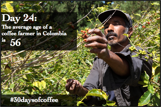 RoyalCup's tweet photo. #30daysofcoffee Day 24: We are actively working to support the next generation of #coffee farmers and growers http://t.co/7gGmtC0XPK