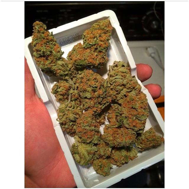 marijuana_feed's tweet photo. http://t.co/RhZ4oICA7A