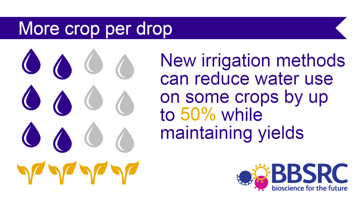 BBSRC's tweet photo. Water-saving techniques from @LancasterUni are now being used on 4 continents #foodsecurity http://t.co/P0gbz7768X http://t.co/tnZDFW1qH7