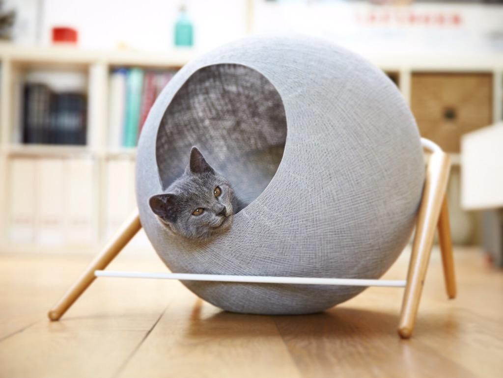 kickstarter cat ball