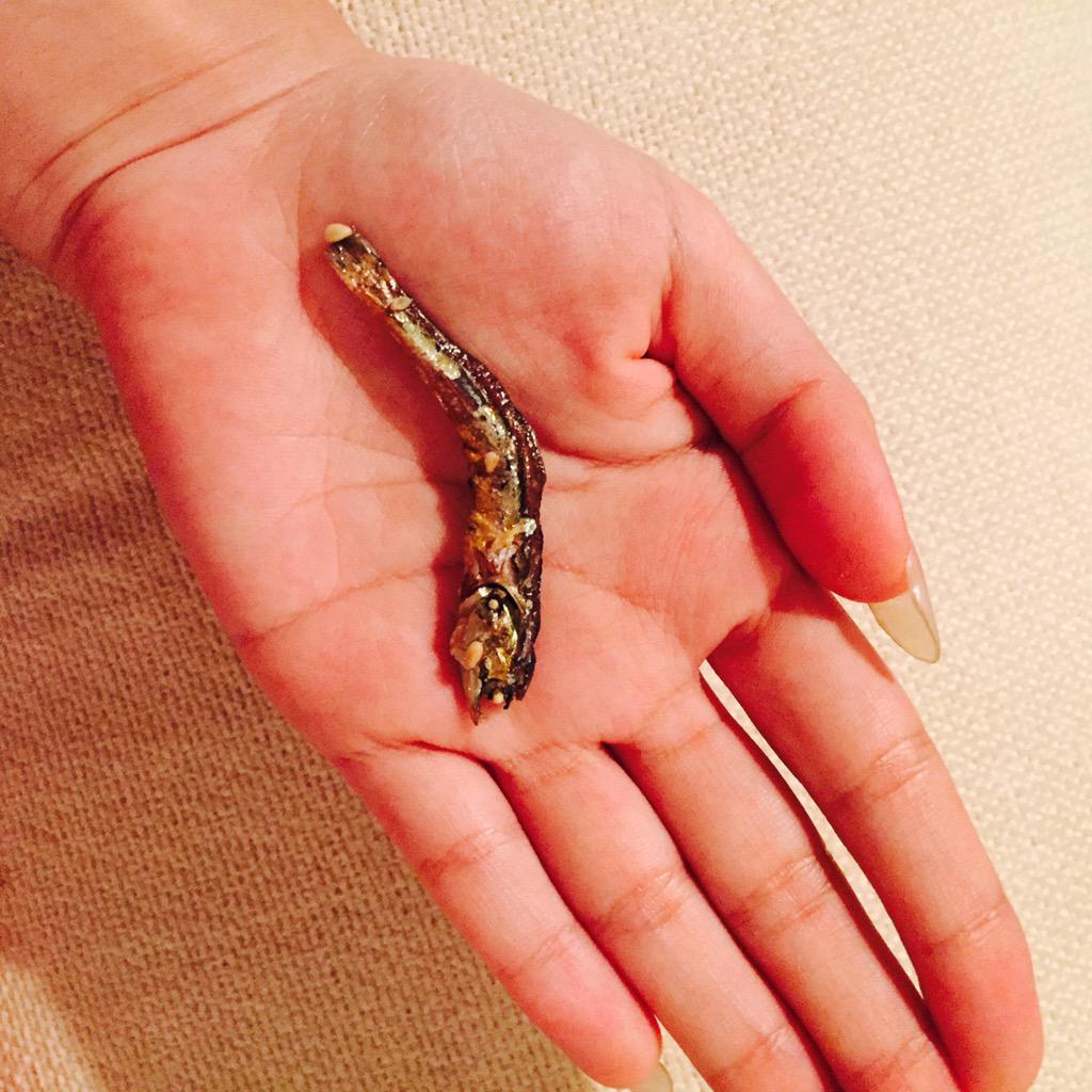 埋め込み画像への固定リンク