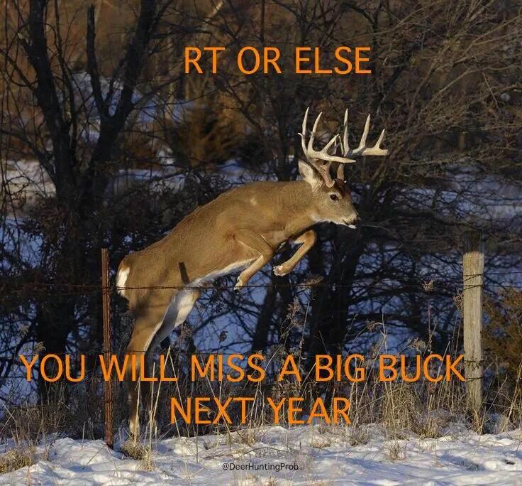 Outdoor Obsession tweet media