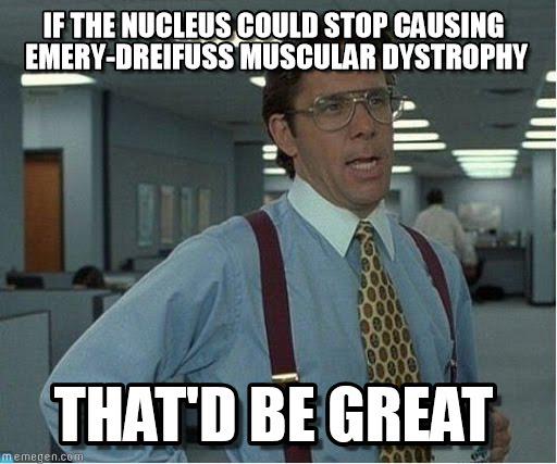 RiboRibosomes's tweet photo. @your_nucleus  #DTSMAWhite http://t.co/i1YyZBnqPj